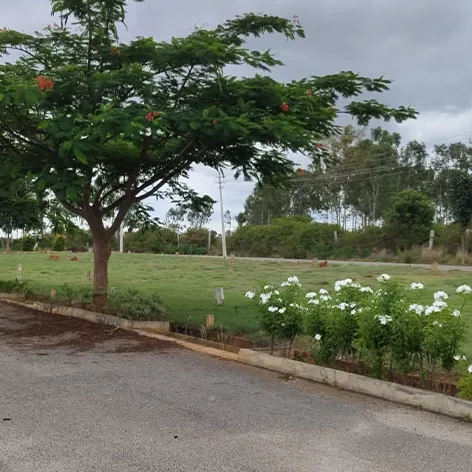 Sylvia City, Jangamakote, by Svamitva A tree-lined layout road with a flowering median at Sylvia City
