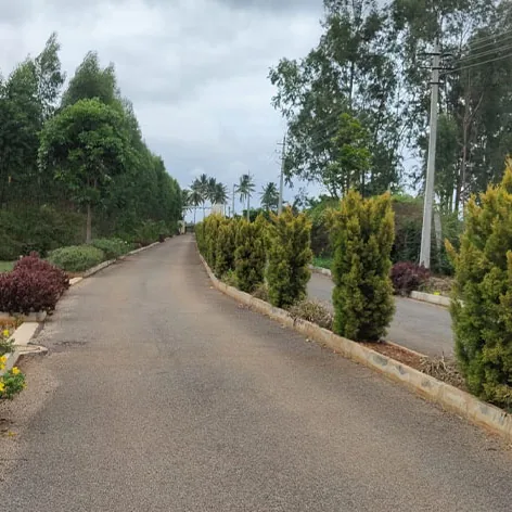Sylvia City, Jangamakote, by Svamitva A curving layout road edged with shrubs and yellow flowers at Sylvia City