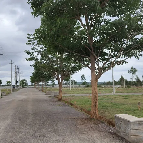 Sylvia City, Jangamakote, by Svamitva A wide layout road with street lights and avenue trees at Sylvia City